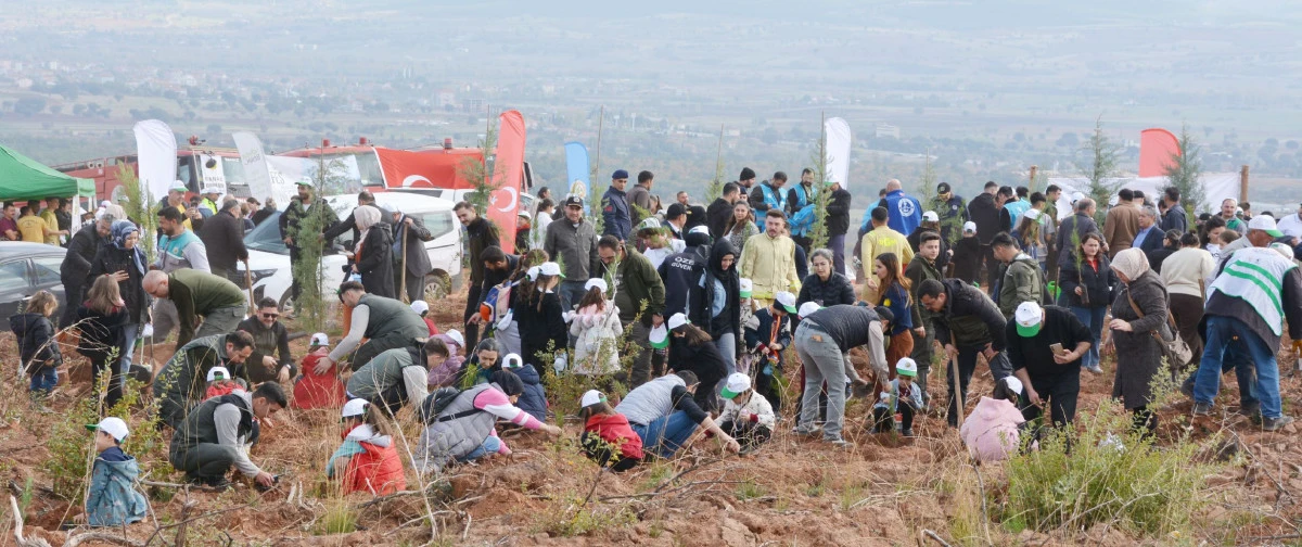 11 KASIM’DA 11 BİN FİDAN