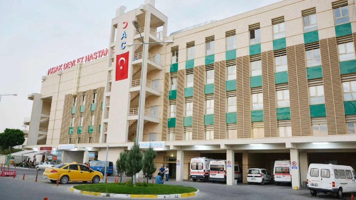 AĞAÇTAN DÜŞEN ŞAHIS YARALANDI