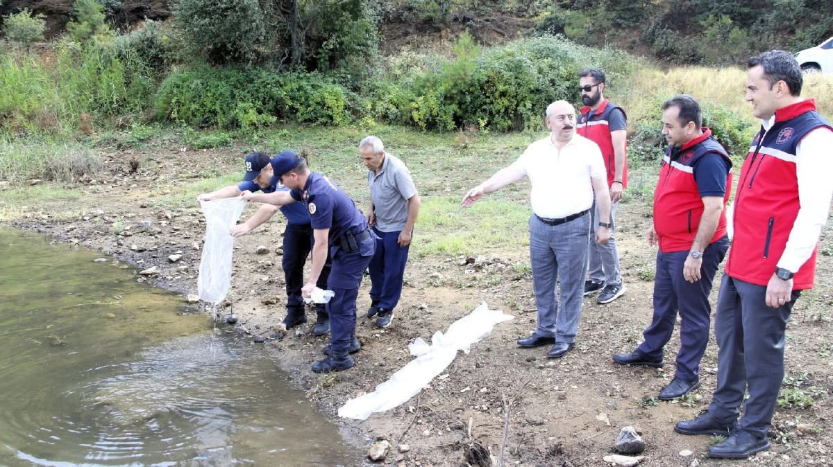 G&Ouml;L VE G&Ouml;LETLERE 51 BİN 500 SAZAN YAVRUSU BIRAKILDI