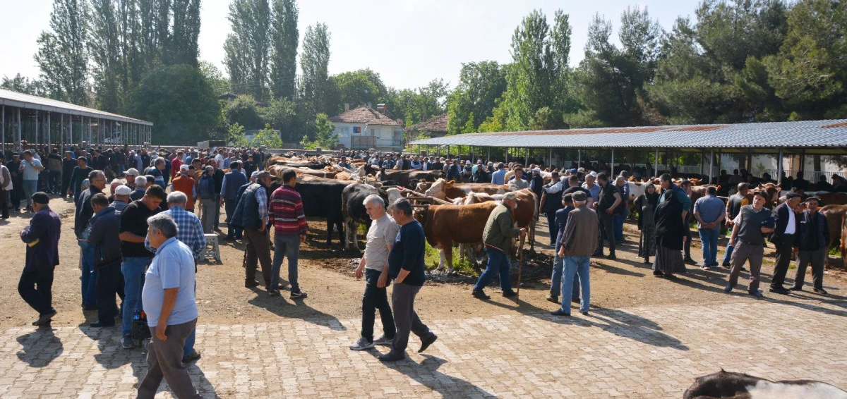 HAYVAN PAZARI AÇILIYOR