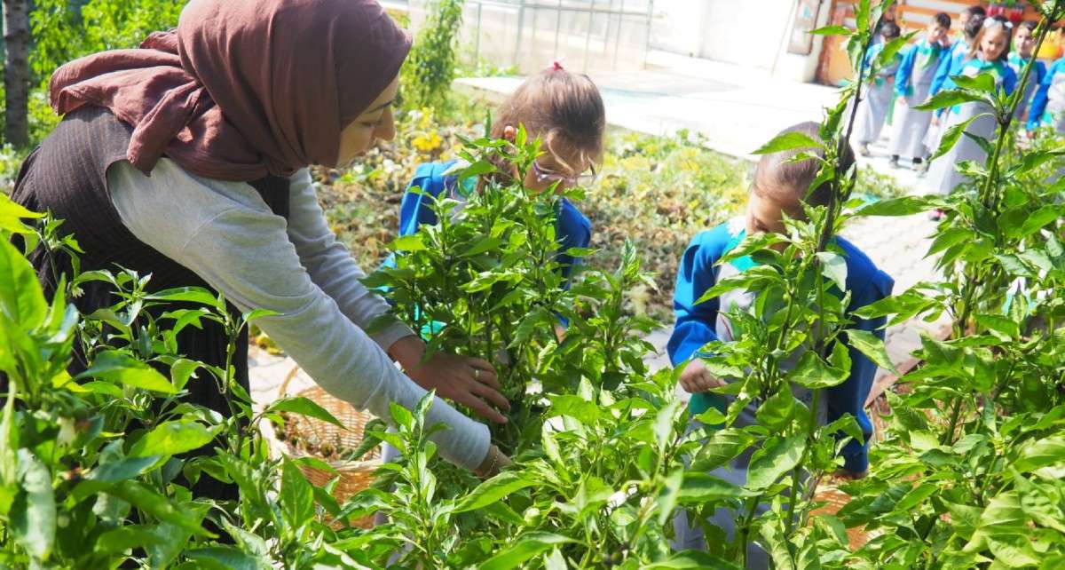 İLÇEMİZ AGRO KÜTÜPHANESİ DÜNYA ÇAPINDA 5. OLDU