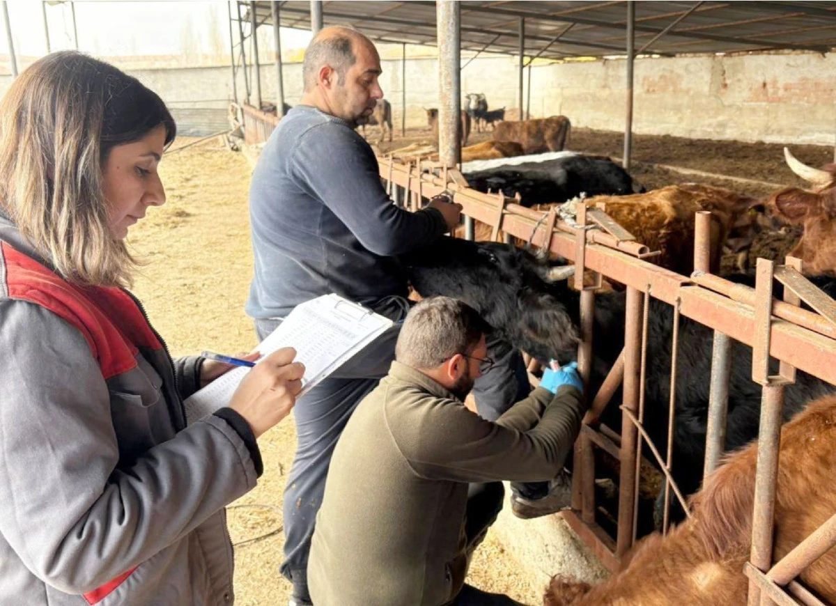 İLÇEMİZDE ARİ İŞLETME DENETİMLERİ YOĞUN BİR ŞEKİLDE SÜRDÜRÜLÜYOR