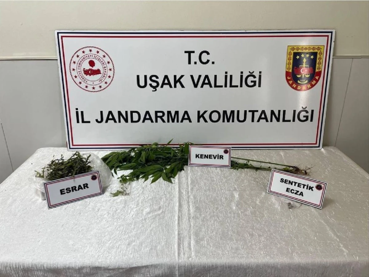 JANDARMA UYUŞTURUCU OPERASYONU DÜZENLENDİ