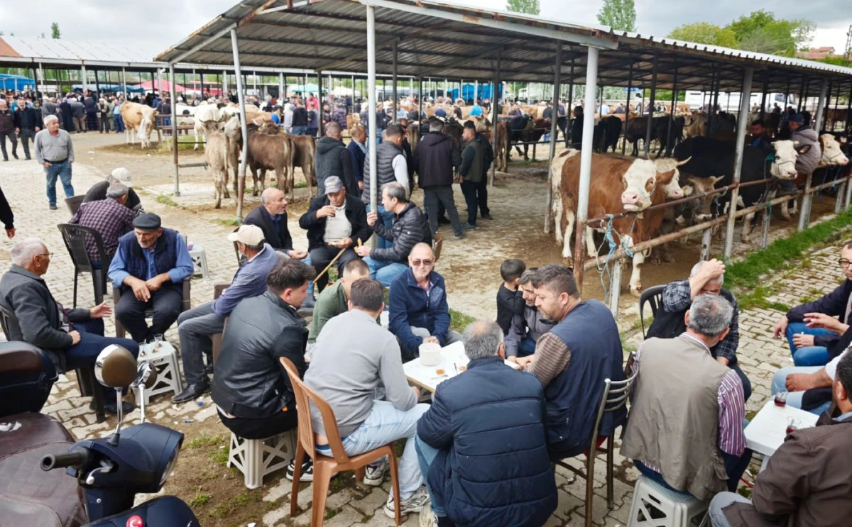 KURBANLIK FİYATLARINDA D&Uuml;Ş&Uuml;Ş YOK!