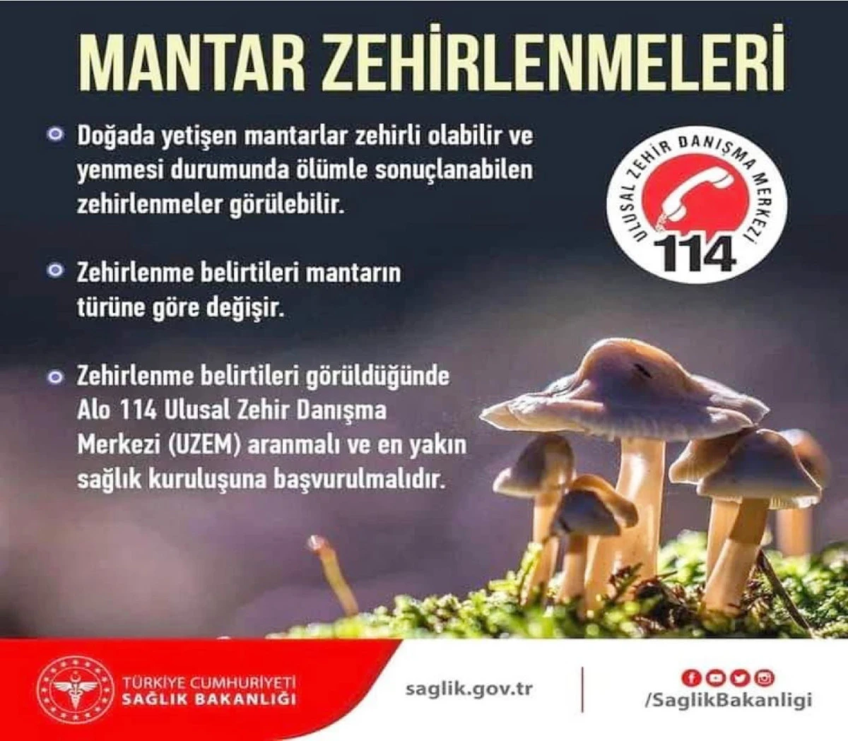 MANTAR ZEHİRLENMELERİ ÜZERİNE YAPILAN BASIN AÇIKLAMASI