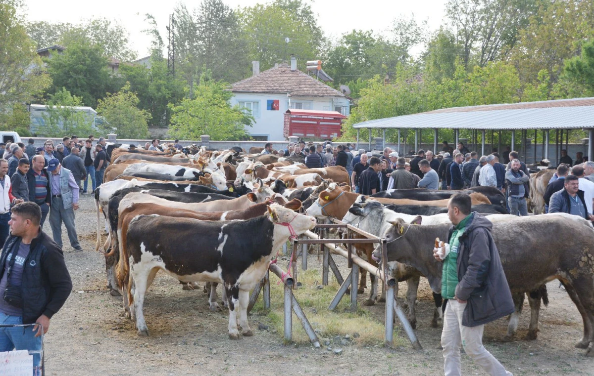 PAZAR YENİDEN KAPATILDI!