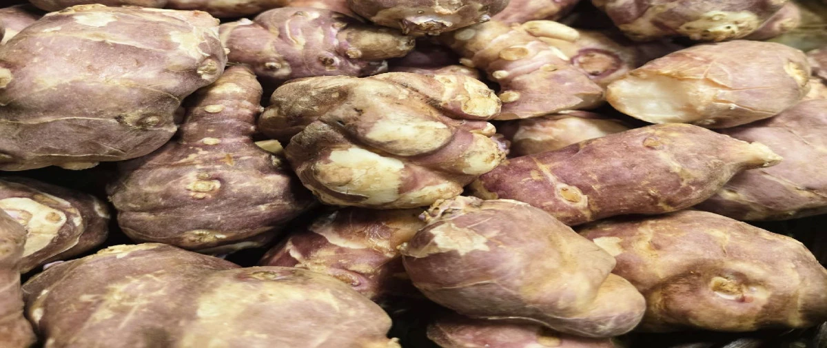 TARIM SEKT&Ouml;R&Uuml;NE YER ELMASI &Ouml;NERİSİ