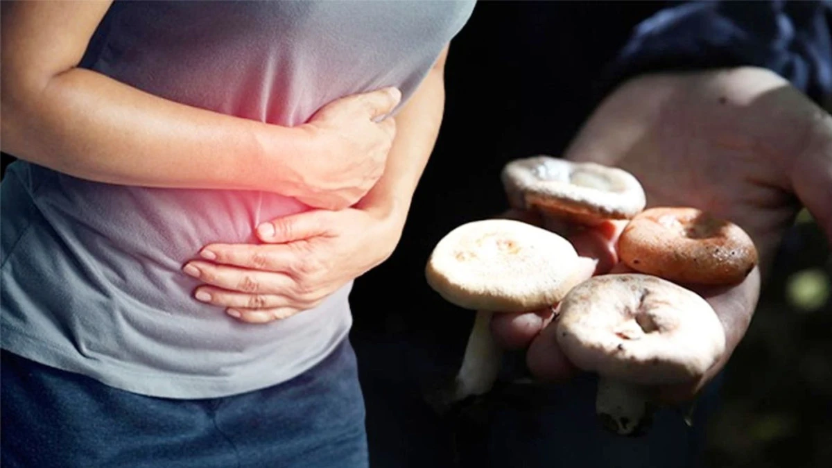 UŞAK SAĞLIK MÜDÜRLÜĞÜ’NDEN MANTAR ZEHİRLENMELERİ UYARISI