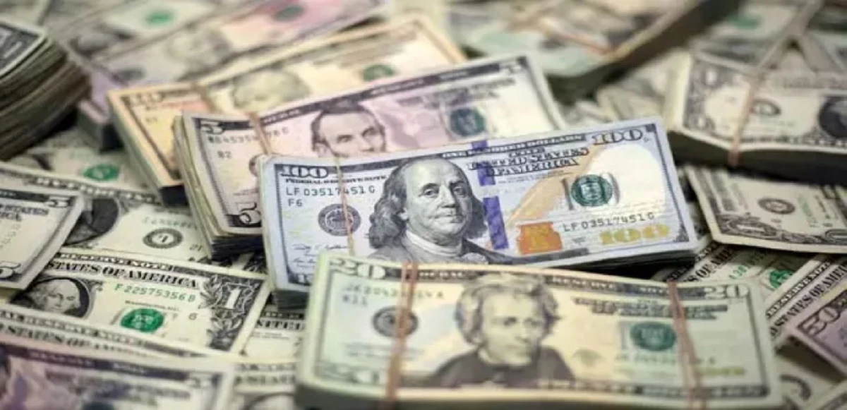 YENİ YILA 12.525 DOLAR GELİRLE GİRDİK